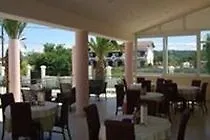 Stemma シダリオン